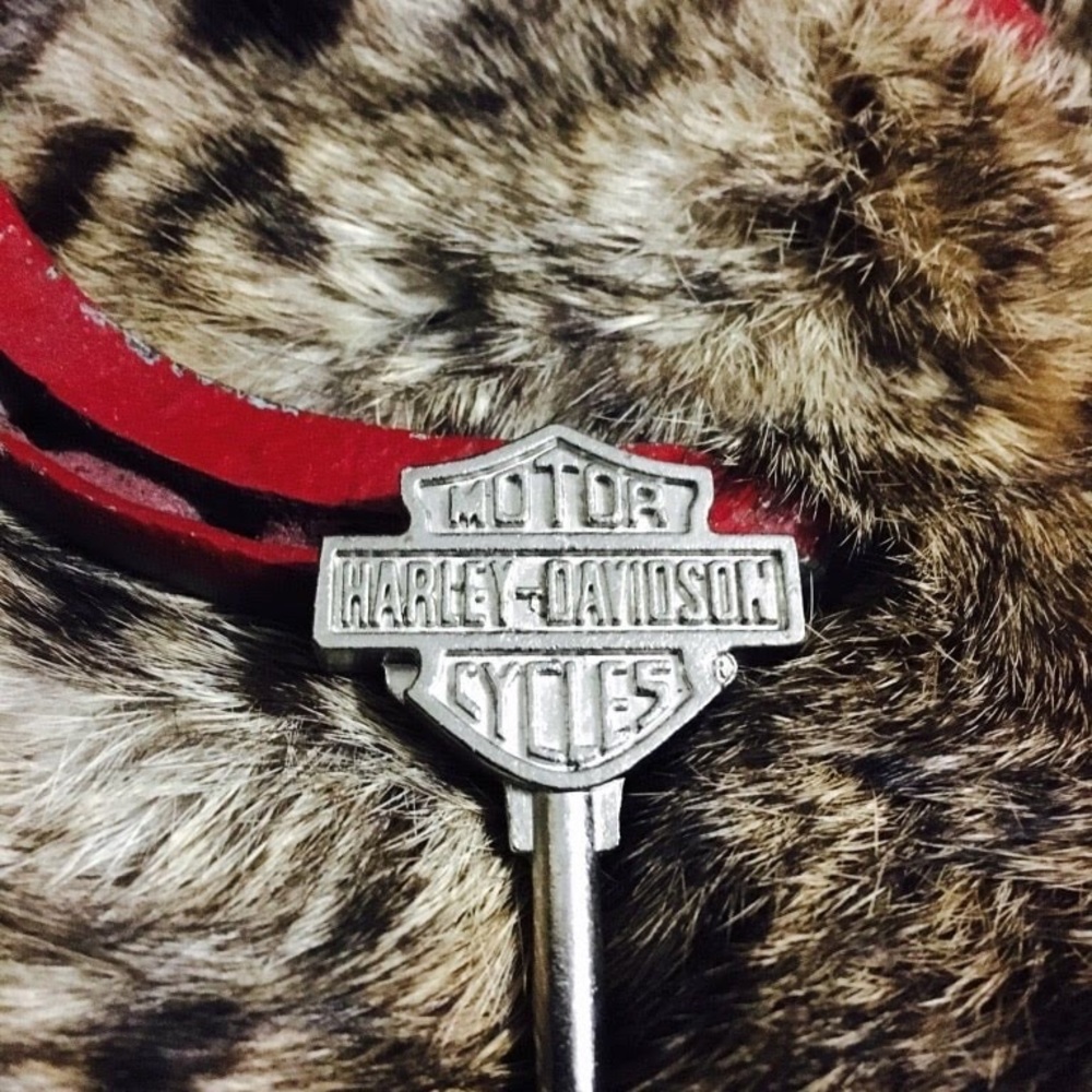 Harley Davidson Hex Key🔧 - Picture 4 of 4